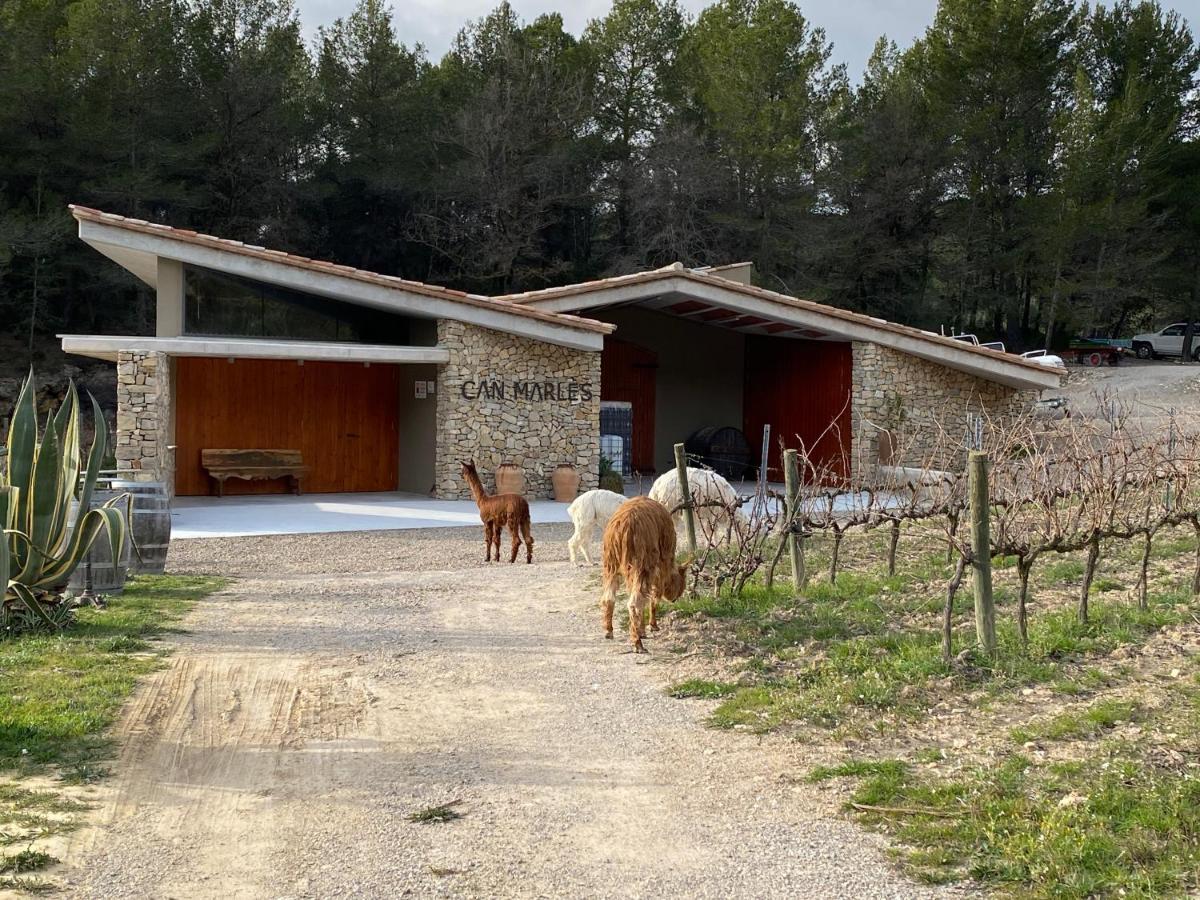 CAL PUIG, ENOTURISMO RURAL entre Viñas y Bosques Villa Juncosa Exterior foto