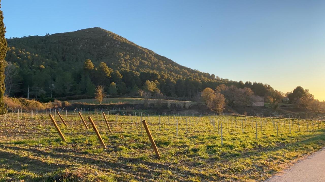 CAL PUIG, ENOTURISMO RURAL entre Viñas y Bosques Villa Juncosa Exterior foto