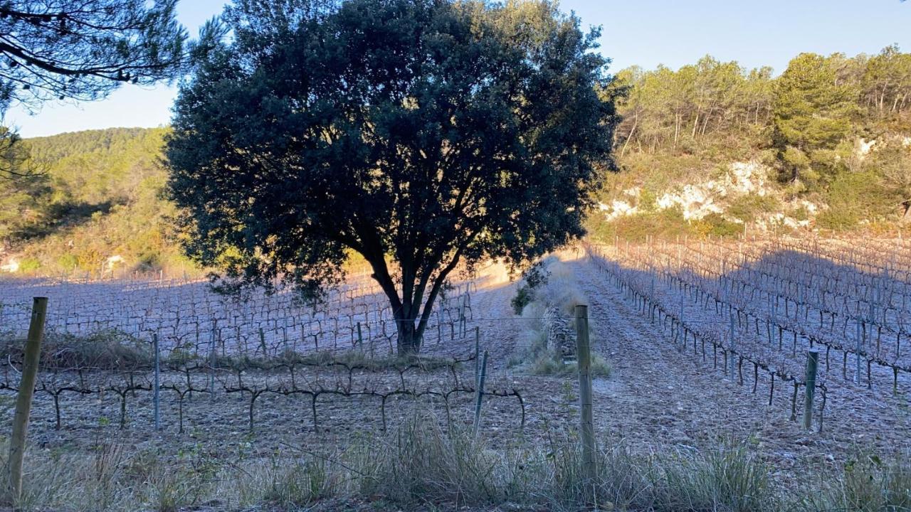 CAL PUIG, ENOTURISMO RURAL entre Viñas y Bosques Villa Juncosa Exterior foto