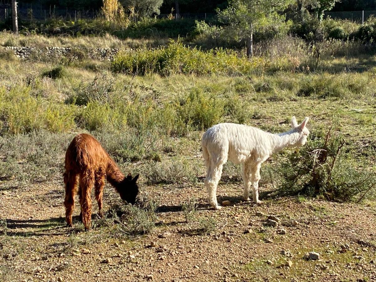 CAL PUIG, ENOTURISMO RURAL entre Viñas y Bosques Villa Juncosa Exterior foto