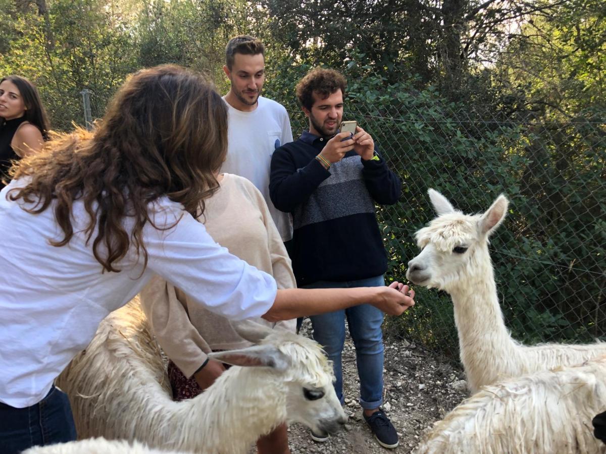 CAL PUIG, ENOTURISMO RURAL entre Viñas y Bosques Villa Juncosa Exterior foto