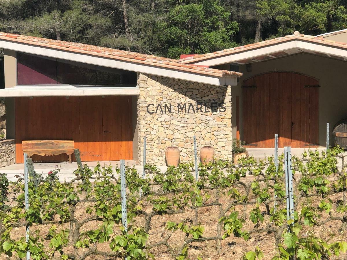 CAL PUIG, ENOTURISMO RURAL entre Viñas y Bosques Villa Juncosa Exterior foto