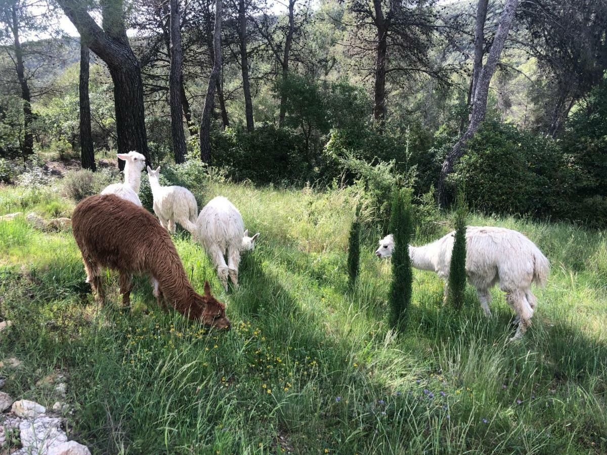 CAL PUIG, ENOTURISMO RURAL entre Viñas y Bosques Villa Juncosa Exterior foto