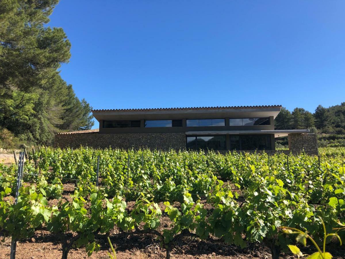 CAL PUIG, ENOTURISMO RURAL entre Viñas y Bosques Villa Juncosa Exterior foto