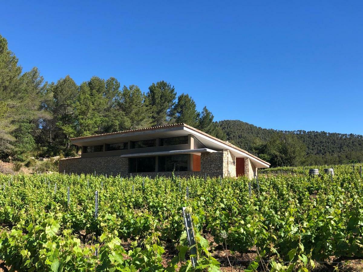 CAL PUIG, ENOTURISMO RURAL entre Viñas y Bosques Juncosa Exterior foto