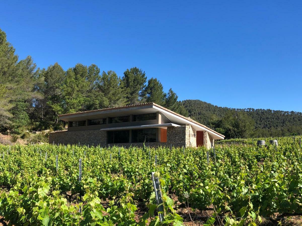 CAL PUIG, ENOTURISMO RURAL entre Viñas y Bosques Villa Juncosa Exterior foto