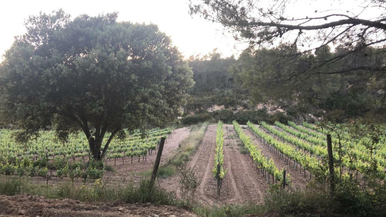 CAL PUIG, ENOTURISMO RURAL entre Viñas y Bosques Villa Juncosa Exterior foto