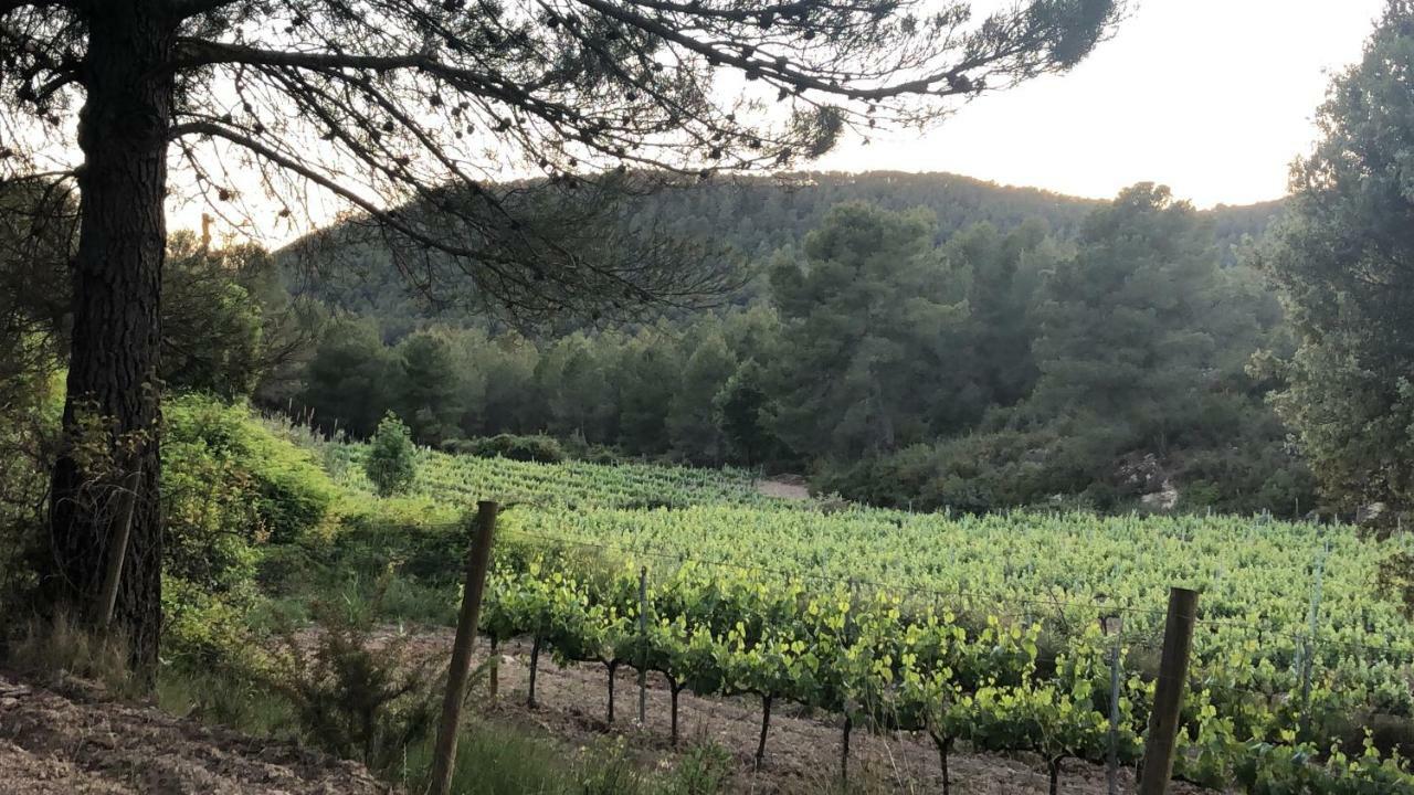 CAL PUIG, ENOTURISMO RURAL entre Viñas y Bosques Villa Juncosa Exterior foto