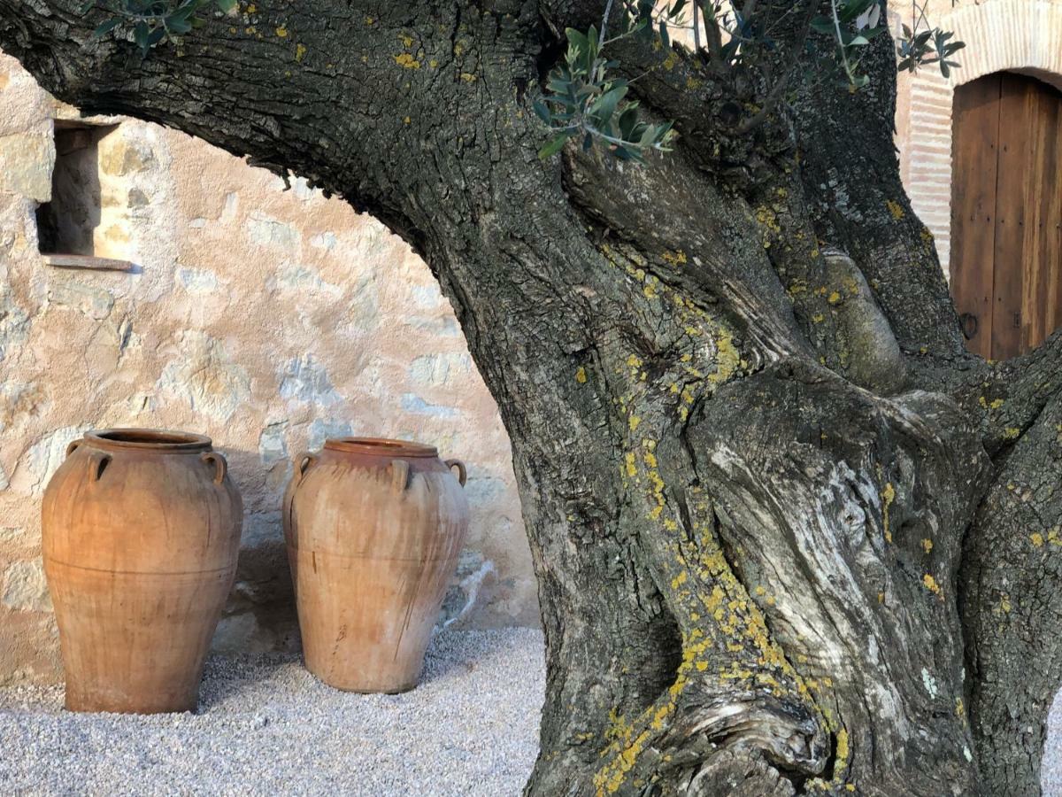 CAL PUIG, ENOTURISMO RURAL entre Viñas y Bosques Villa Juncosa Exterior foto